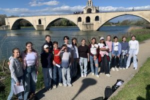 Avignon_Singbild